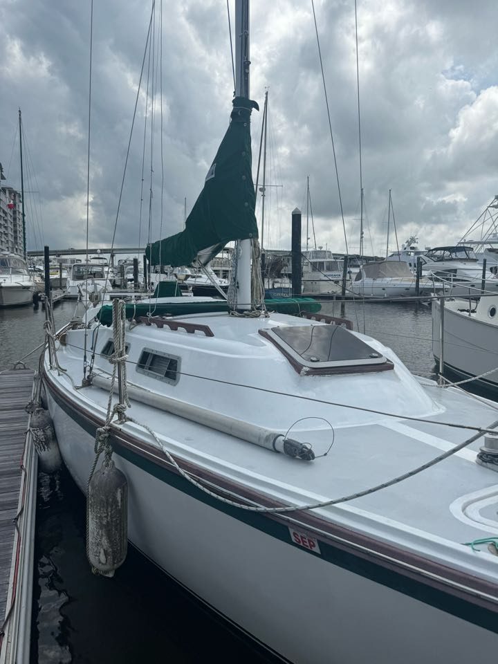Sailboat detailed in its marina slip